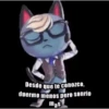 Sexy and handsome kitten 7