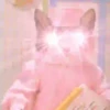 Gatinhos loucos 1 6