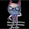 Sexy and handsome kitten 9