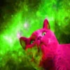 Gatitos Locos 2 8