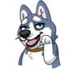 Tusky Husky 5