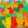 Gatinhos loucos 1 7