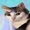 Gatinhos loucos 1 8