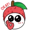 Aiiing Lychee 01 8
