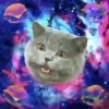 Gatinhos loucos 1 9