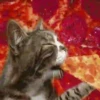 Gatitos Locos 2 9