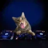 Gatinhos loucos 1 10