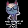 Sexy and handsome kitten 11