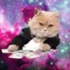 Gatinhos loucos 1 11