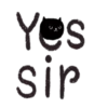 Sassy Black Cat  .MOV 10