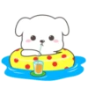 Cute White Dog 7