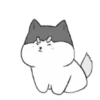 Perrito Cute (Mov) 12
