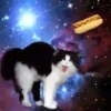 Gatitos Locos 2 11