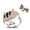 Cats1 10