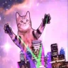 Gatitos Locos 2 12