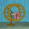 ● Gary (Bob E.) Mov. ● 8