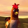 gallos & gallinas 8