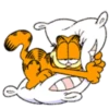 Cats1 11