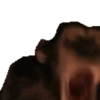 Pepe & Memes 11