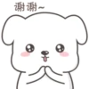 Cute White Dog 9