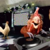 gallos & gallinas 9