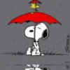 Cuando llueve 8