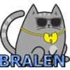 gatitos meow Mov 12