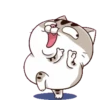 Cats1 13