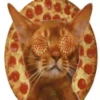 Love Pizza 1 18