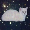 Gatitos Locos 2 15