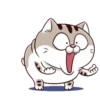 Cats1 14