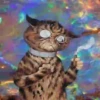 Gatitos Locos 2 16