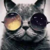 Gatinhos loucos 1 14