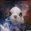 Gatitos Locos 2 17