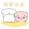 Cute White Dog 12