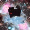 Gatitos Locos 2 18