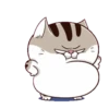 Cats1 16