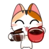 Cats1 18