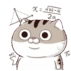 Cats1 19