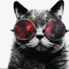 Gatinhos loucos 1 17