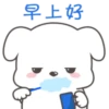 Cute White Dog 14