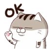 Cats1 20