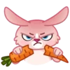 Mia Bunny 15