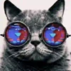Gatinhos loucos 1 18