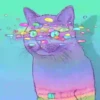 Gatinhos loucos 1 19