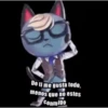 Sexy and handsome kitten 14