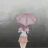Cuando llueve 11