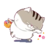 Cats1 21