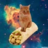 Gatinhos loucos 1 21