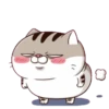 Cats1 22